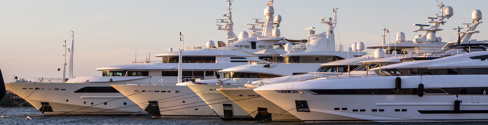 5BF_Maximilian_Humml